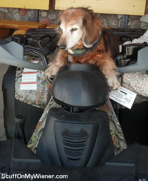 Ollie on a quad.